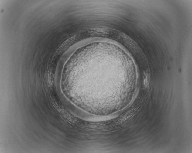 X0000081600819200702051327