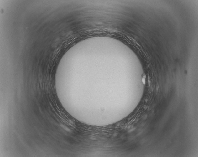 X0000081600820200702051327