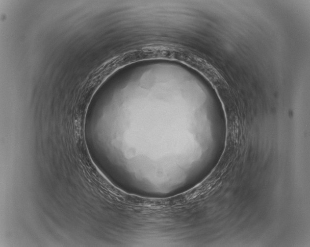 X0000081600821200702051327