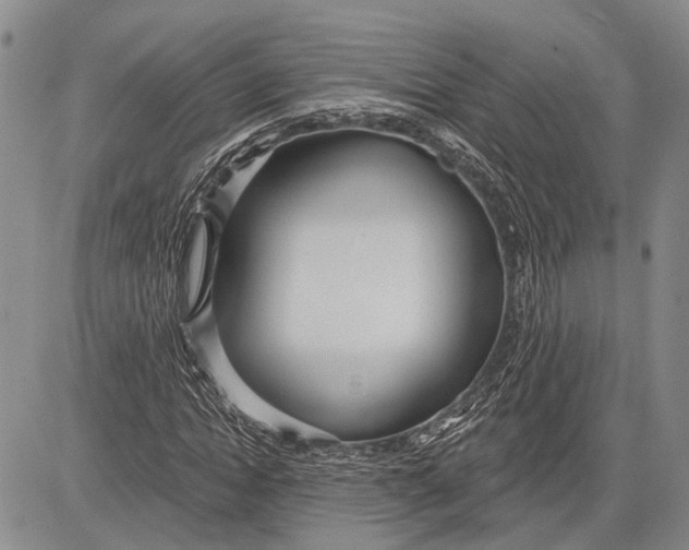 X0000081600822200702051327