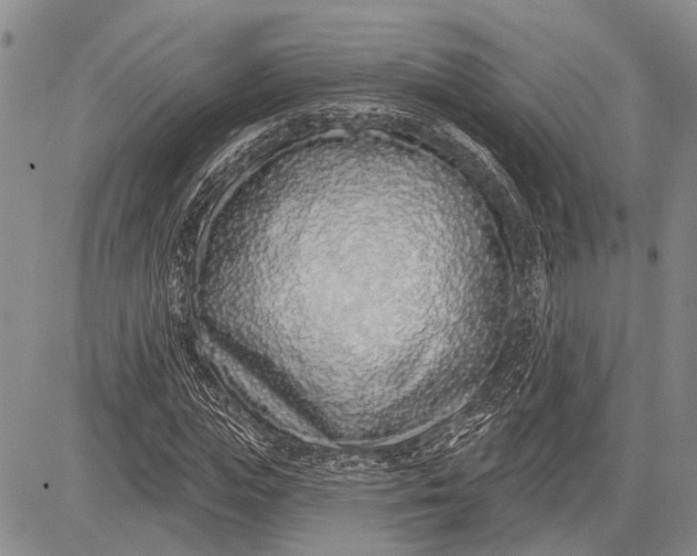 X0000081600823200702051327