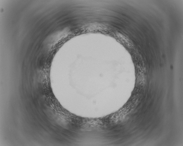 X0000081600824200702051327