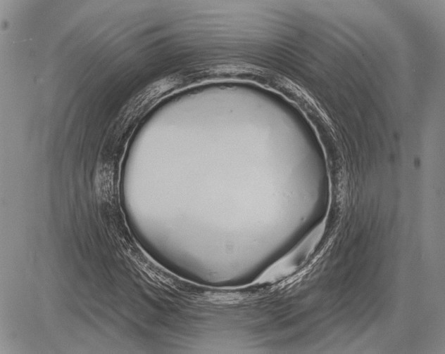 X0000081600825200702051327