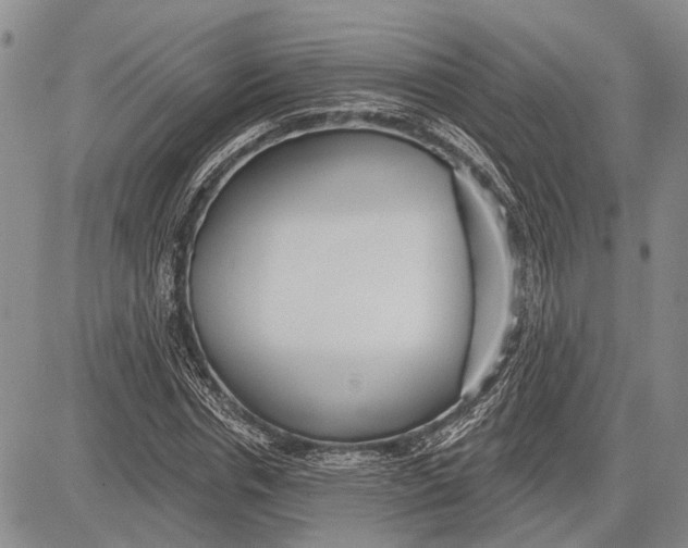 X0000081600826200702051327