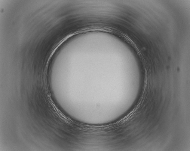 X0000081600828200702051327