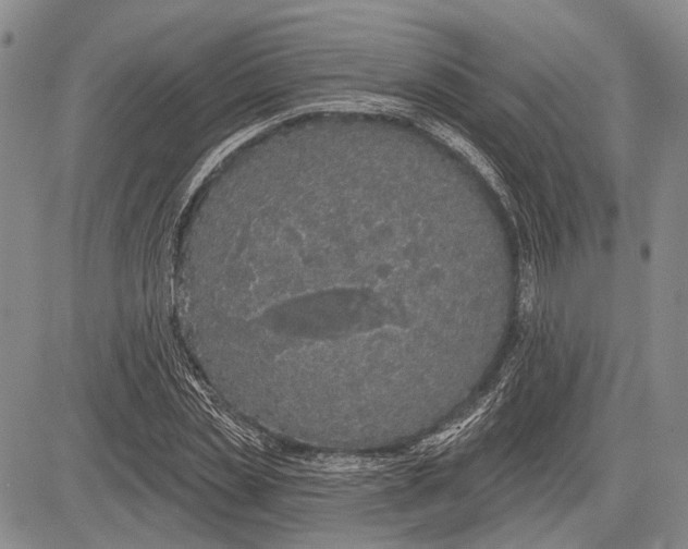 X0000081600829200702051327