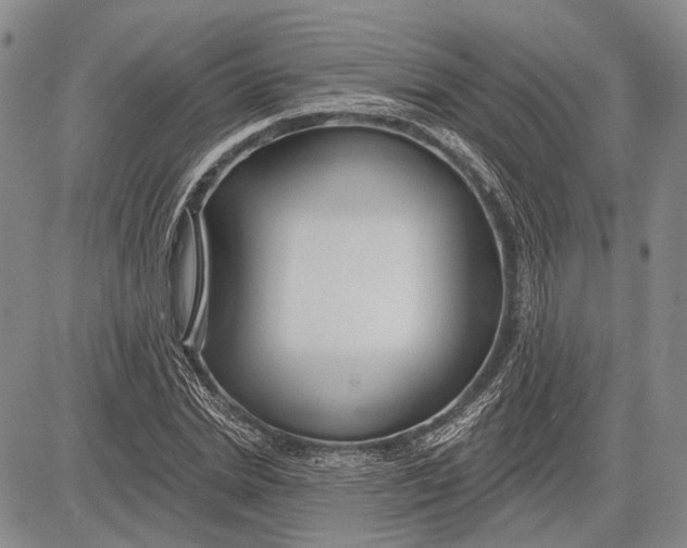 X0000081600830200702051327