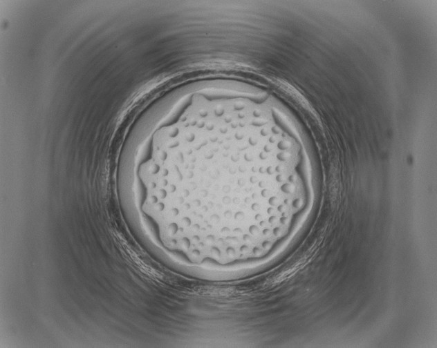 X0000081600831200702051327