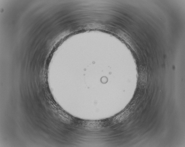 X0000081600832200702051327