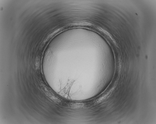 X0000081600833200702051327