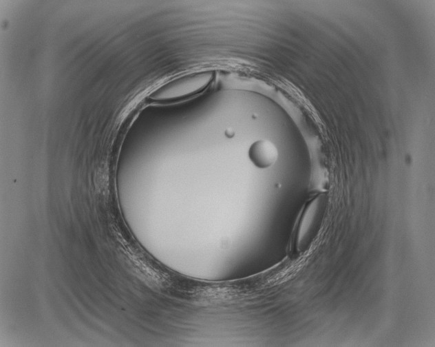 X0000081600834200702051327