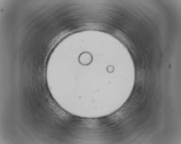 X0000081600836200702051327