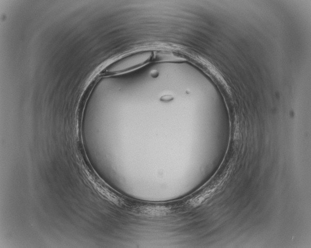 X0000081600837200702051327