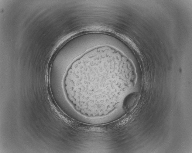 X0000081600839200702051327