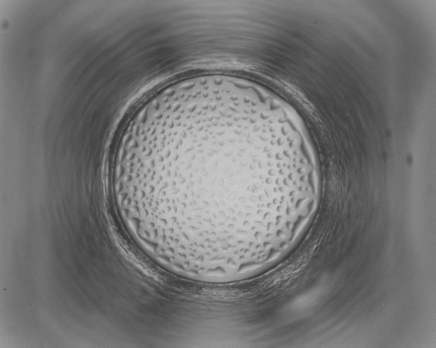 X0000081600840200702051327