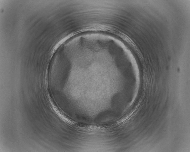 X0000081600842200702051327