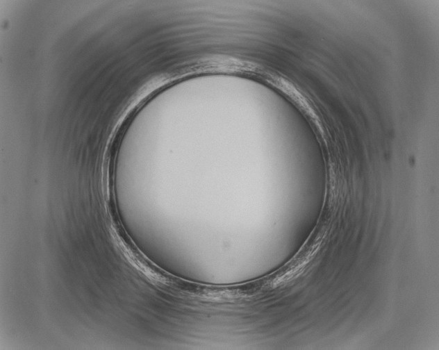 X0000081600843200702051327