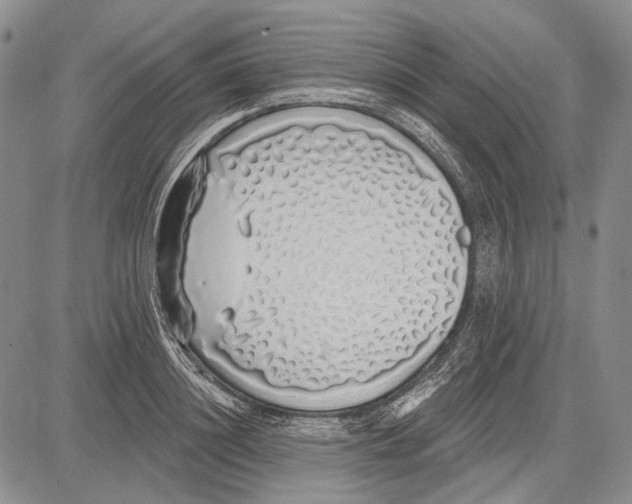 X0000081600844200702051327