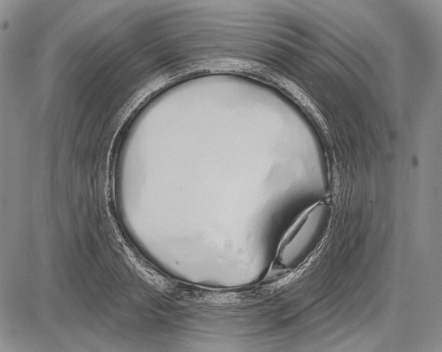 X0000081600845200702051327