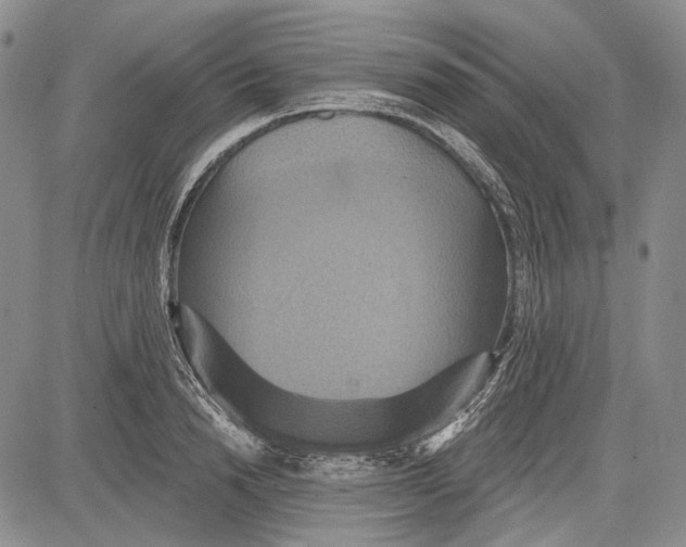 X0000081600846200702051327