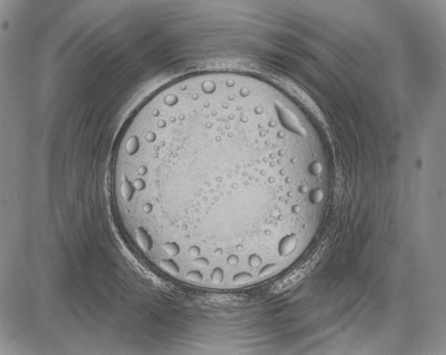 X0000081600847200702051327