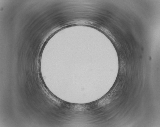 X0000081600848200702051327