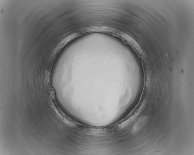 X0000081600849200702051327