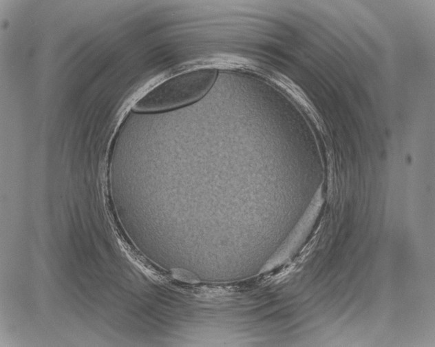 X0000081600850200702051327