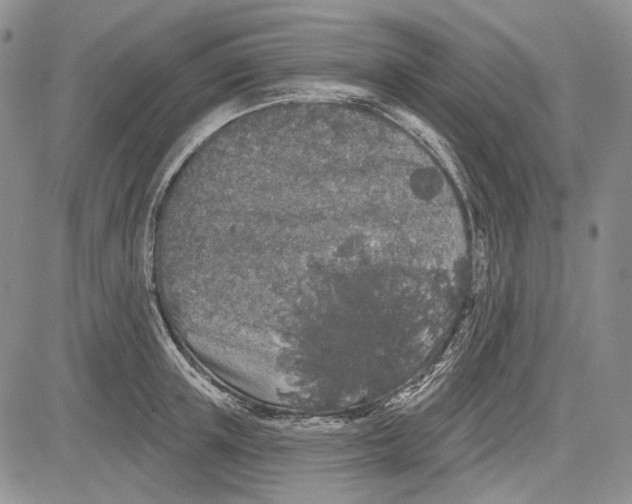 X0000081600851200702051327