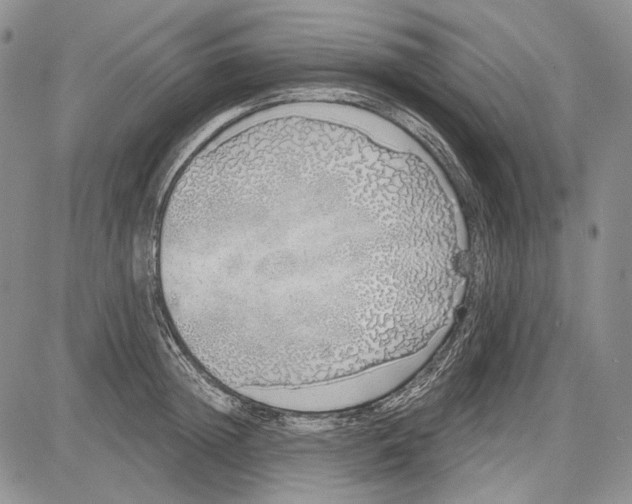 X0000081600852200702051327