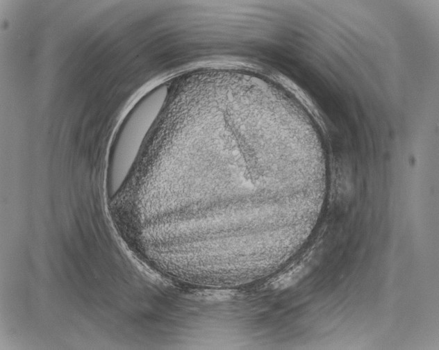 X0000081600853200702051327