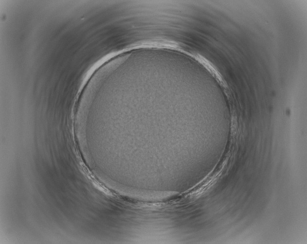 X0000081600854200702051327