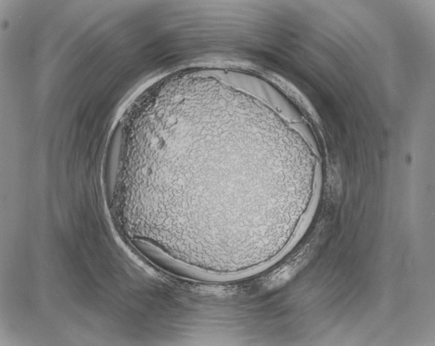 X0000081600855200702051327