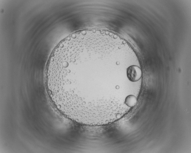 X0000081600856200702051327