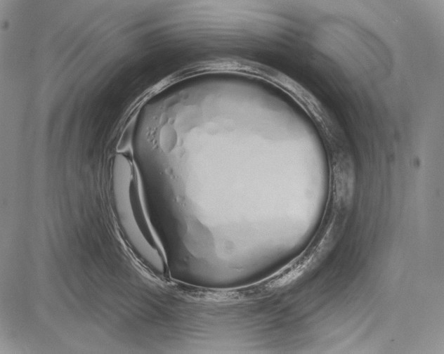 X0000081600857200702051327