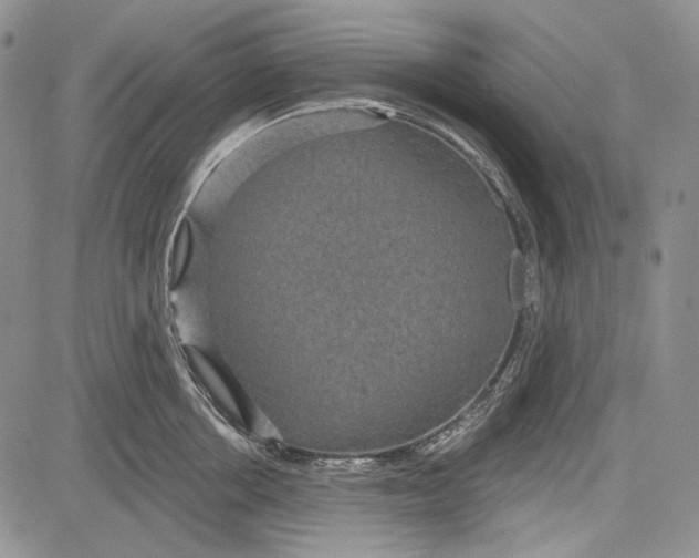 X0000081600858200702051327