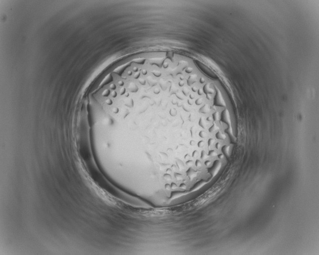 X0000081600859200702051327