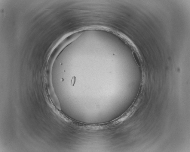 X0000081600860200702051327