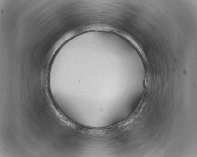 X0000081600861200702051327