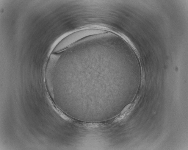 X0000081600862200702051327