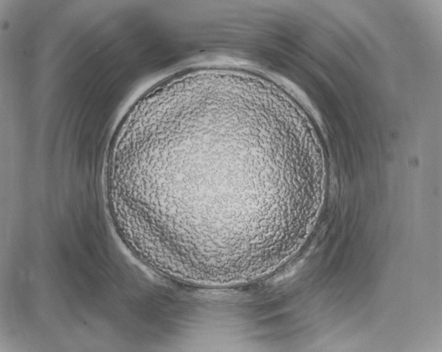 X0000081600863200702051327