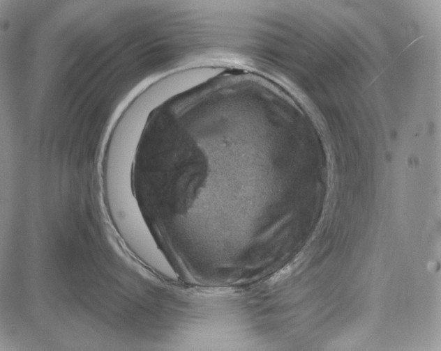 X0000081600864200702051327