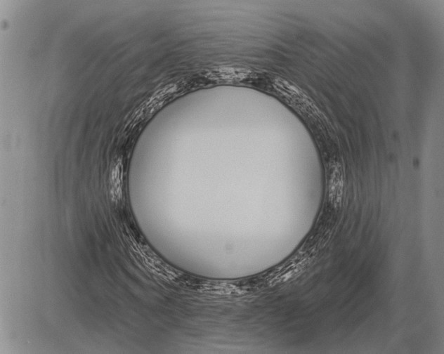 X0000081600866200702051327