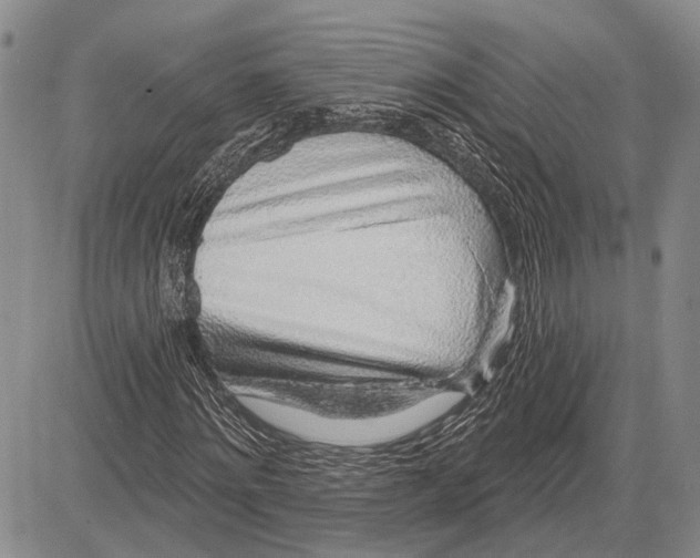 X0000081600868200702051327