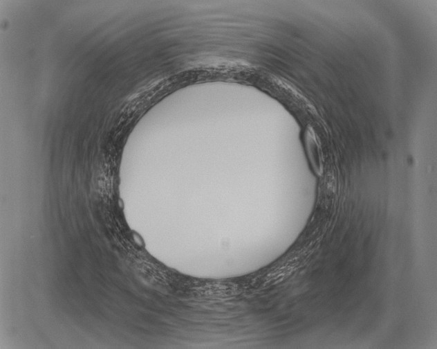 X0000081600869200702051327