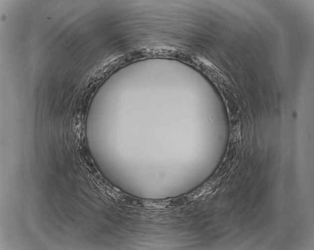 X0000081600870200702051327