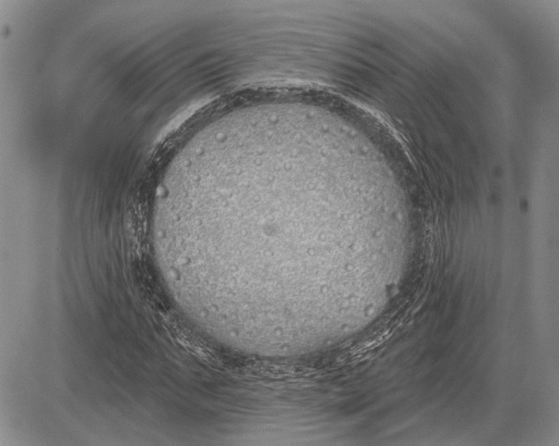 X0000081600871200702051327