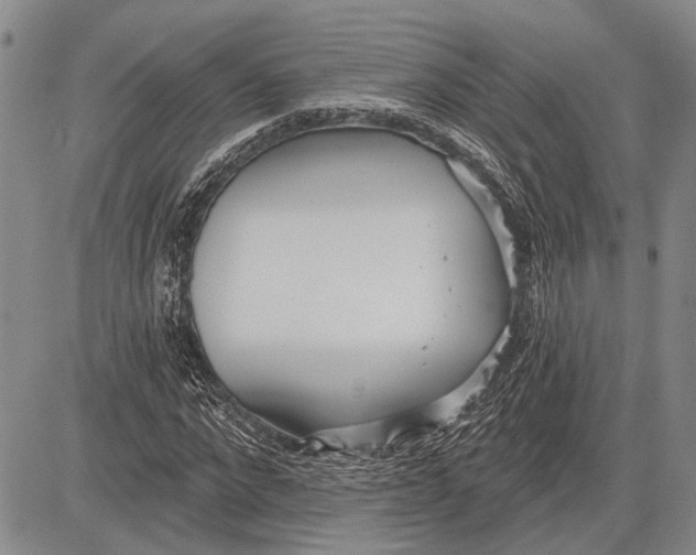 X0000081600872200702051327