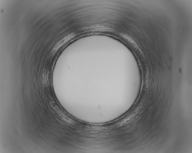 X0000081600873200702051327