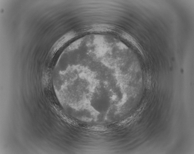 X0000081600874200702051327